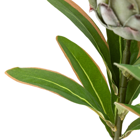 Faux Stem Statement Tropical Green 470mm (12pk)