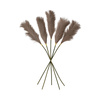 Goma Soft Feather Stem Brown (5 szt.) 720 mm