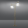 WIVARA LP2 GOLD