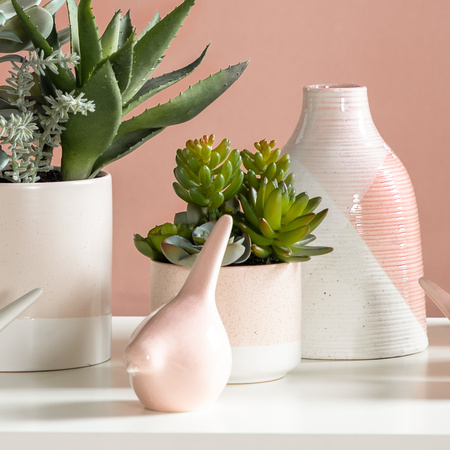 Potted Echeveria Mix in Ceramic Pot H160mm