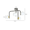 RAGNAR 4B BLACK GOLD
