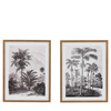 Obraz w ramie „Colonial Sketches” – wielokolorowy, 47 × 1,5 × 61 cm, zestaw 2 szt.