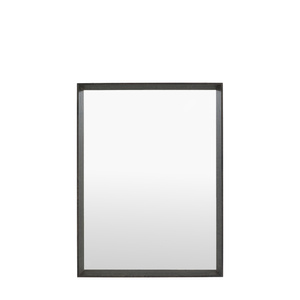 Ashbury Rectangle Mirror Black 800x60x600mm