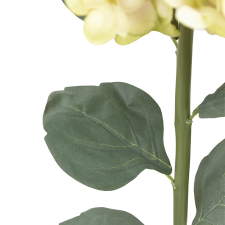 Vintage Cone Hydrandea Stem White (12pk)