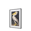 Pellicano Framed Art 600x900mm