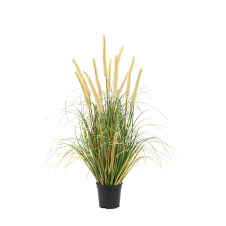 Potted Grass with Cattail Seed Heads 570mm