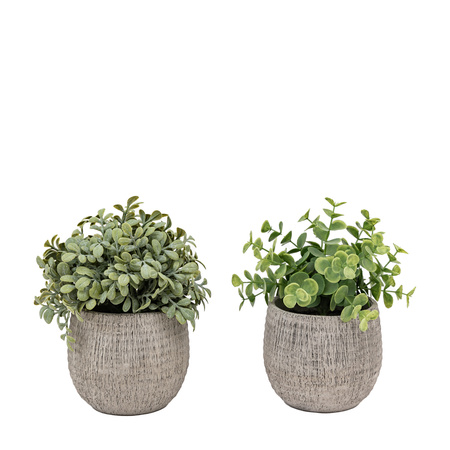 Potted Plant Ceramic Scratch Pots Sage Set of 2