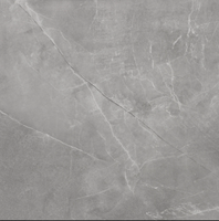 Cerrad Stonemood Silver 79,7x79,7 cm (120 zł / m2)