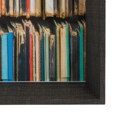 The Vinyl Collector Framed Art 540x60x540mm