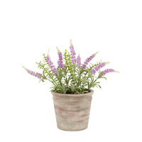Potted Rustic Lilac Lavendar 280x280x300mm
