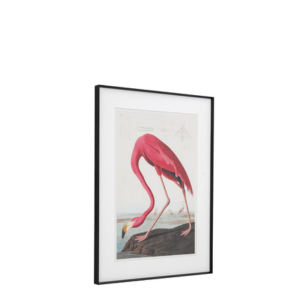 Wading Flamingo Framed Art 600x900mm