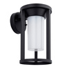 Braden Outdoor 1 Wall Light