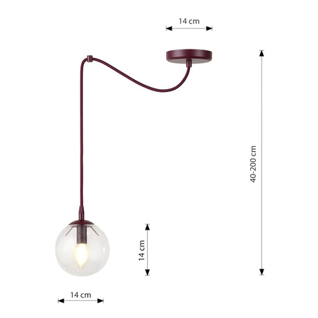 GIGI 1 BURGUNDY TRANSPARENT