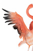 KARE dekoracja stojąca FLAMINGO ROAD FLY