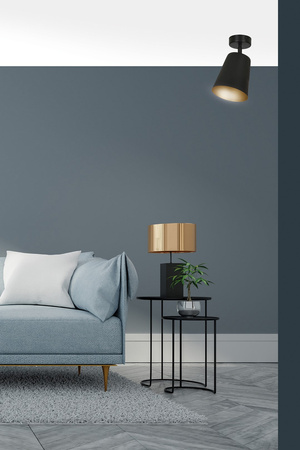 PRISM 1 BLACK / GOLD