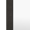 Tokyo Leaner Mirror Black 500x50x1700mm