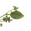 Faux Stem Berry Foliage Green 760mm (12pk)