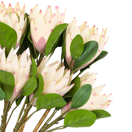 Faux Stem Statement Tropical Ivory 470mm (12pk)