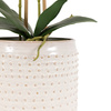 Orchid in Moss Ceramic Dot Pot Pink 400x250x610mm