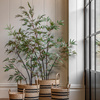 Potted Bamboo Tree 4ft