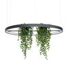 Żyrandol RIO BIO 110 czarny LED 3000K