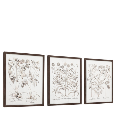Obraz w ramie „Evergreen” – czarny, 50 × 3 × 60 cm, zestaw 3 szt.