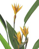 KARE roślina dekoracyjna PARADISE         FLOWERS 190 cm
