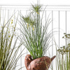 Potted Grass w/3 Flowers 300x300x740mm