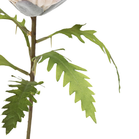 Faux Stem Statement Tropical Lilac 470mm (12pk)