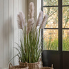 Potted Grass with Pampas Seed Heads 1570mm