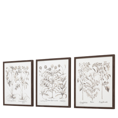 Obraz w ramie „Evergreen” – czarny, 50 × 3 × 60 cm, zestaw 3 szt.