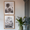 Colonial Sketches Framed Art Set of 2