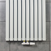 Grzejnik BIAŁY NAVIN Ellipse Double 600х1800-10 (50mm), anticor