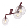 NATON 4 BURGUNDY TRANSPARENT