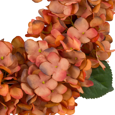 Rust Hydrangea Wreath