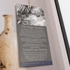 The Classics Framed Canvas 800x50x800mm