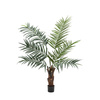 Potted King Kentia Palm Tree 5ft