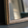 Florentine Overmantle Mrror Champgne 850x42x1100mm