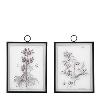 Petiole Framed Art Set of 2