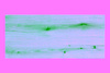 Blat 100cm