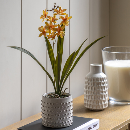 Orchid Orange in White Ceramic Dot Pot 400mm