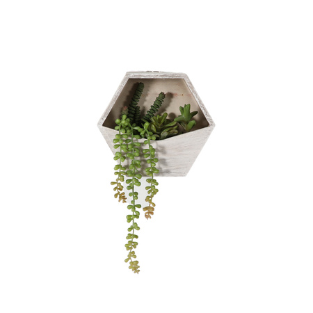 Wall Planter with Sedum Succulent mix H380mm