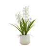 Potted Cymbidium Orchid (real touch) White H610mm