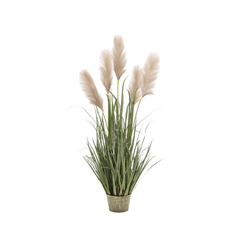 Potted Grass with Pampas Seed Heads 1270mm