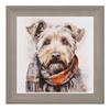 Teddy Framed Canvas 380x30x380mm