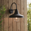 Farmhouse Outdoor 1 Wall Light