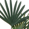 Potted Statement Palm 1170mm