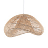 Misra 1 Pendant Light