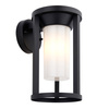 Braden Outdoor 1 Wall Light