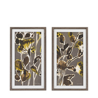 Revival Framed Canvas Set of 2